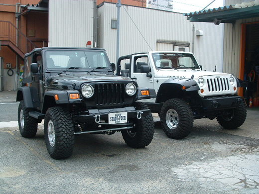 P-tj2 (2).JPG